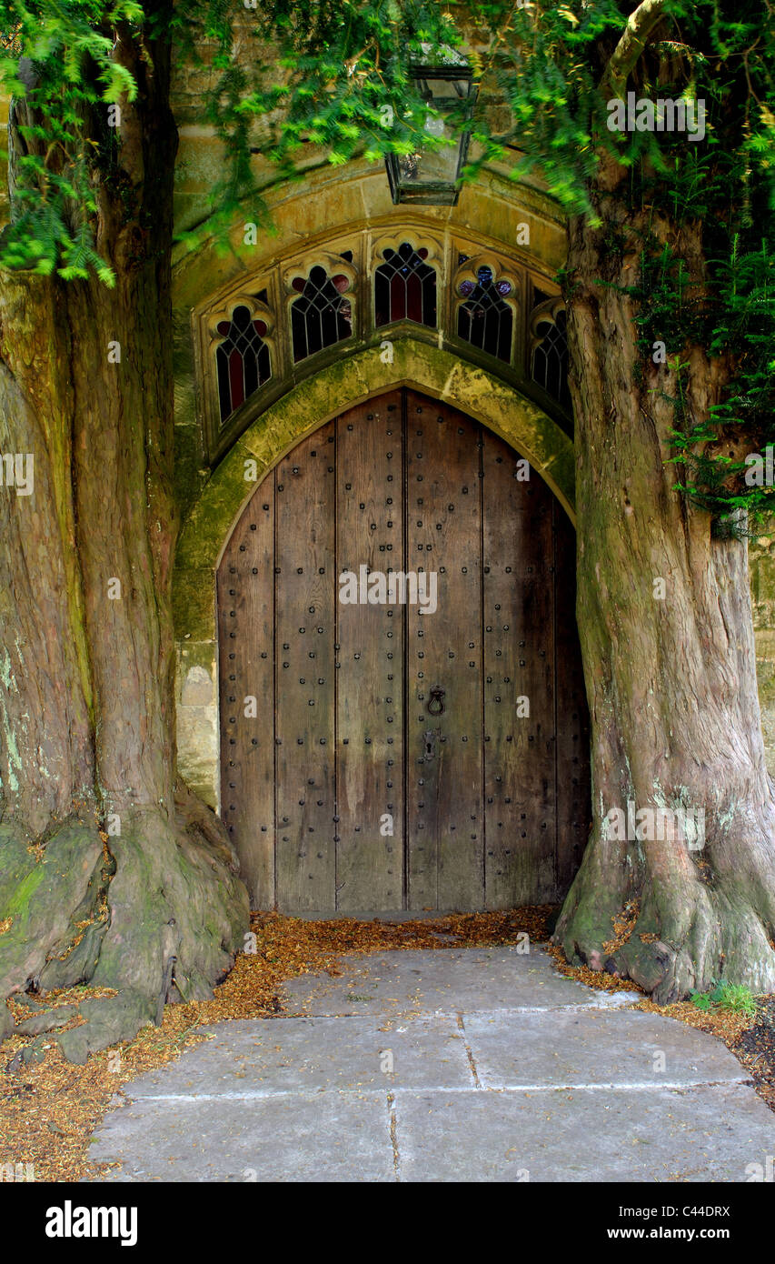 Yew trees lining North Door of St. Edward`s Church, Stow-on-the-Wold, Gloucestershire, England, UK Stock Photo